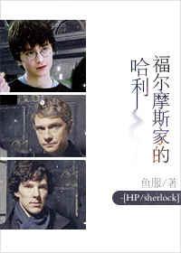 Harry of the Sherlock Holmes
