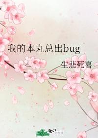 My Honmaru always has bugs