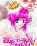 The king of nets in the harem of the prince