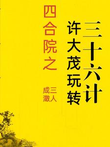 Xu Damao's Thirty-Six Stratagems in Siheyuan